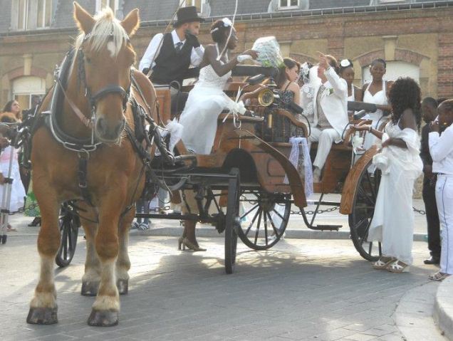 Location de calèches pour votre mariage et toute événement.